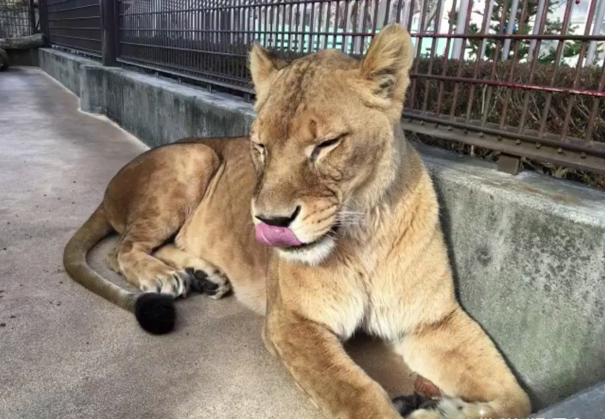 サポート画像