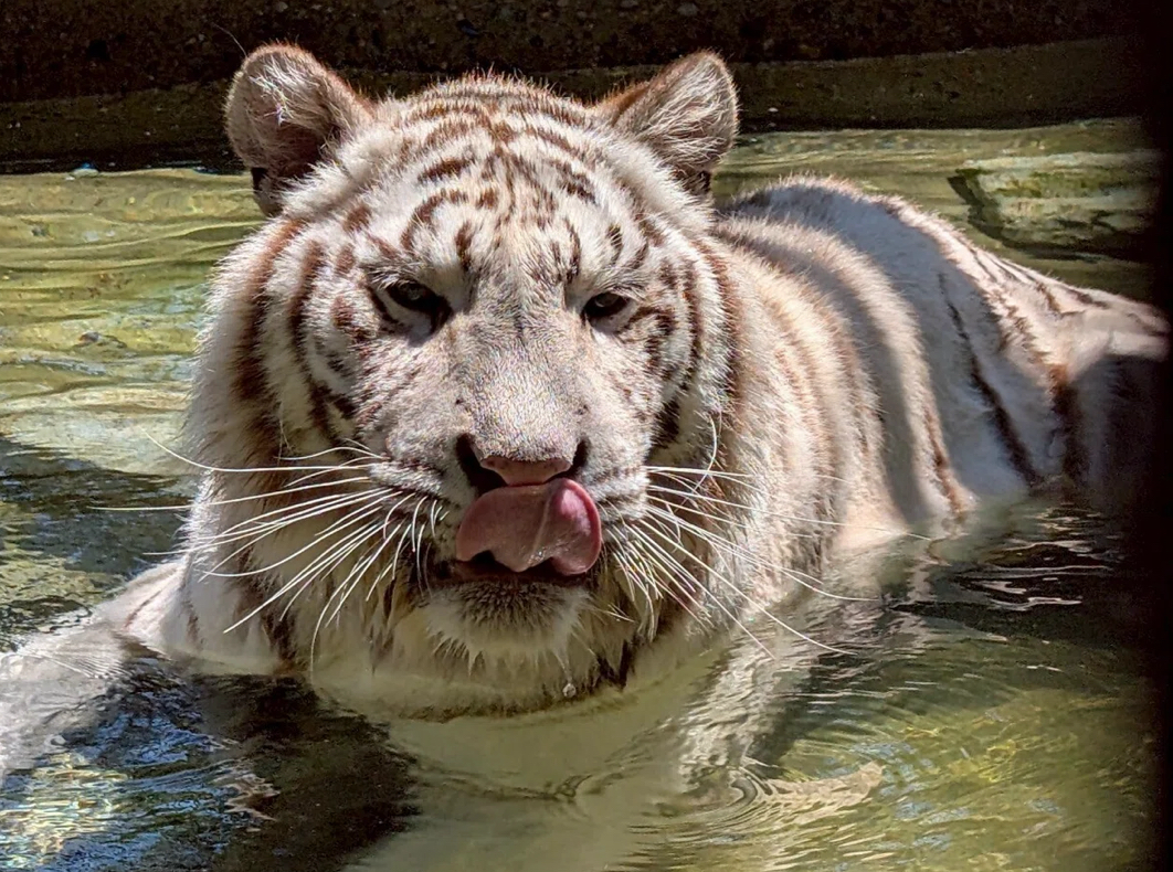 サポート画像