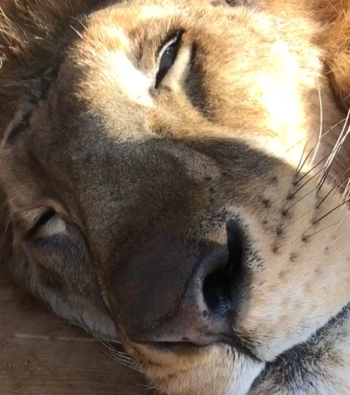 サポート画像
