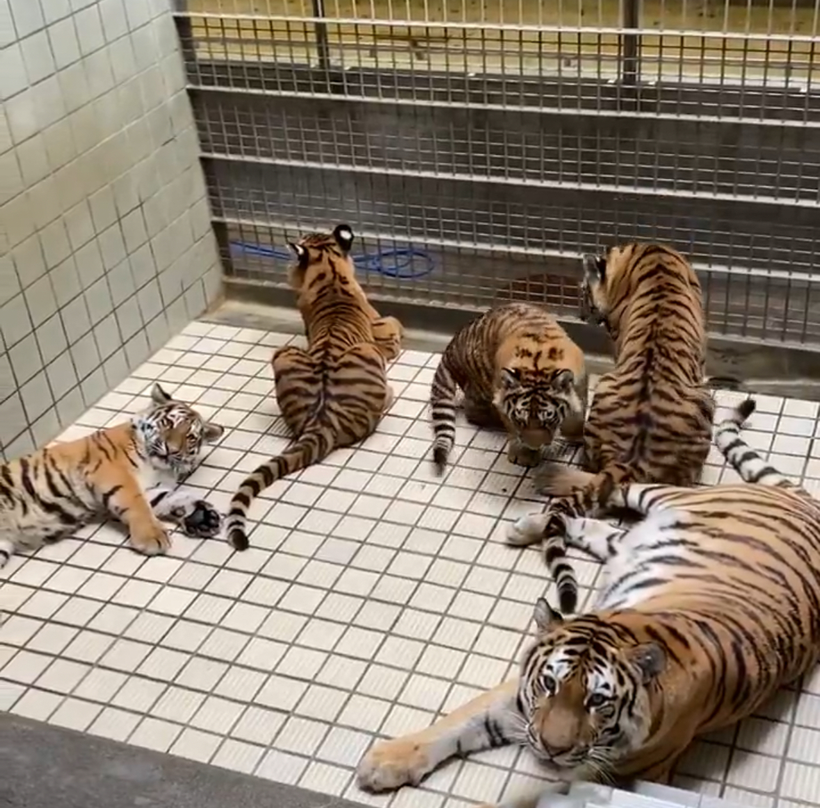 サポート画像