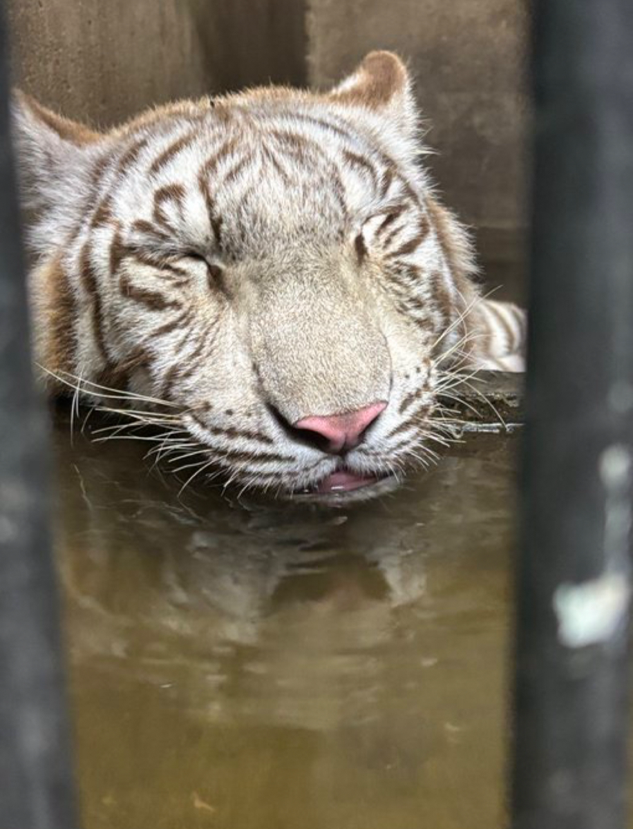 サポート画像