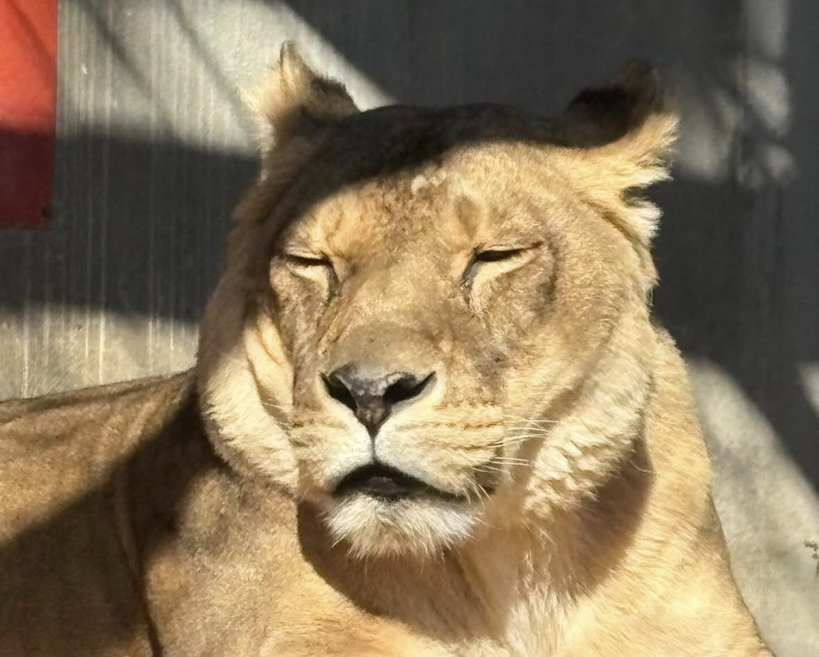 サポート画像
