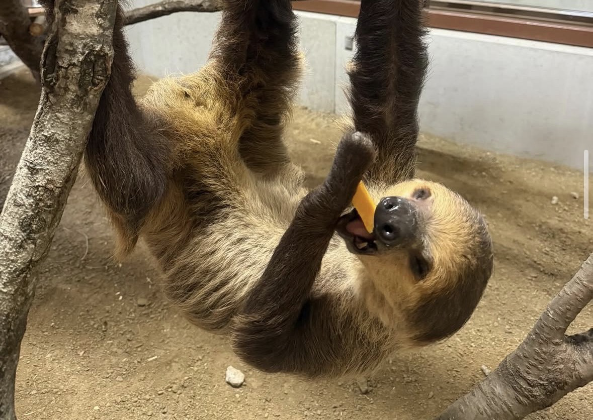 サポート画像
