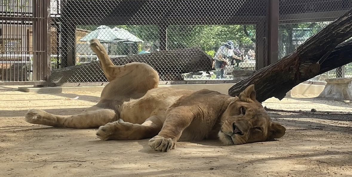 サポート画像