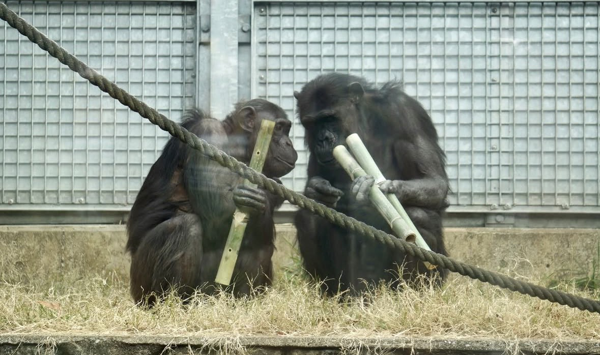 サポート画像