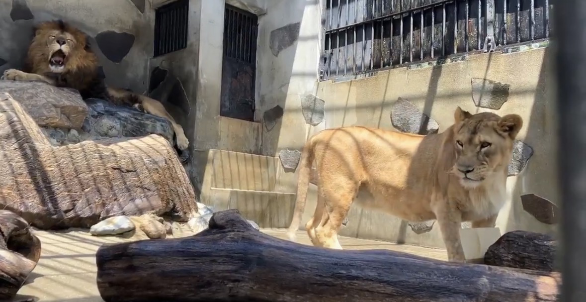 サポート画像
